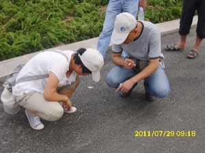 202105142783.png image.png