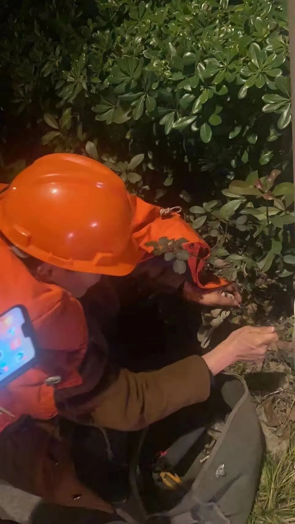 202307071657.jpg 202307071657.jpg