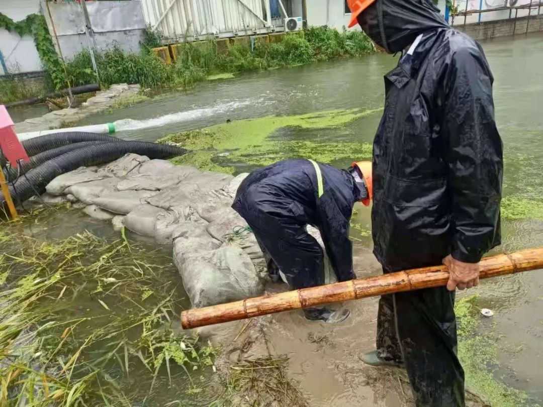 202307076414.jpg 202307076414.jpg